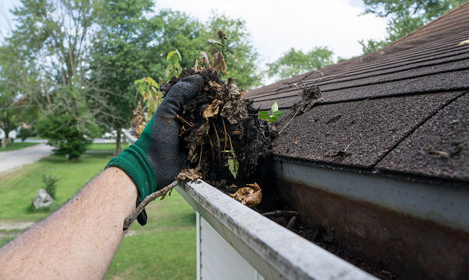 gutter_cleaning