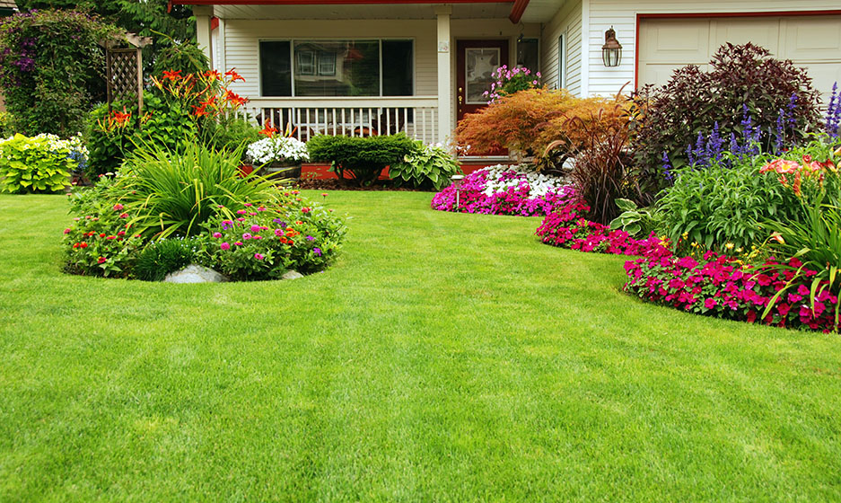 landscaping_and_maintenance